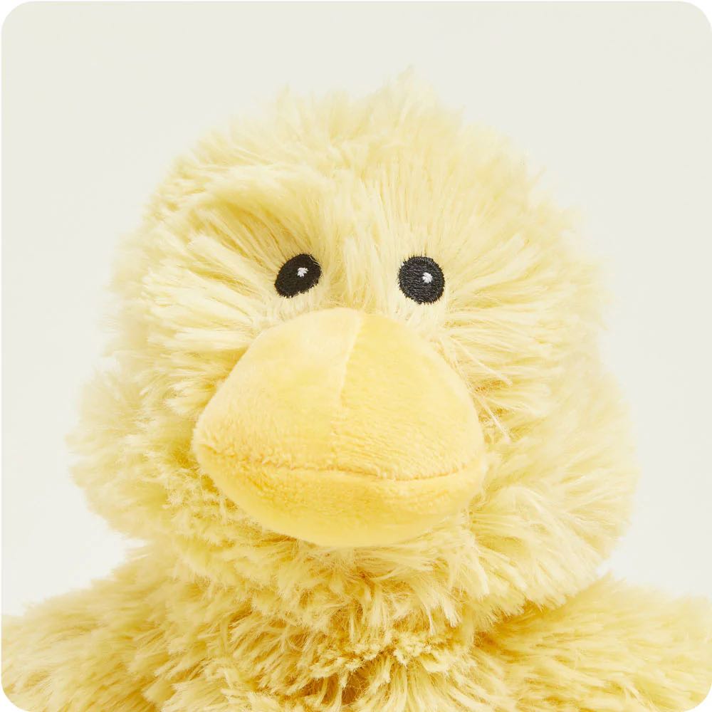 duck junior warmies