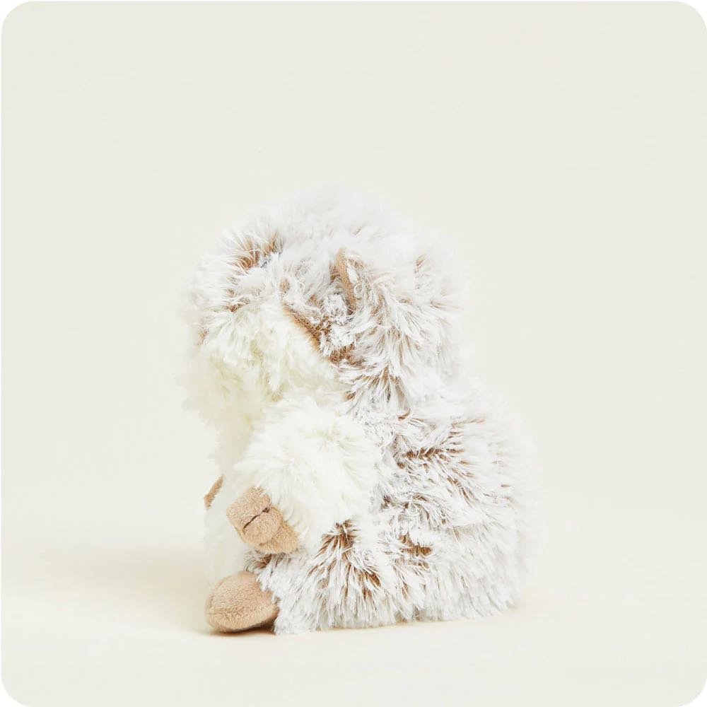hamster junior warmies