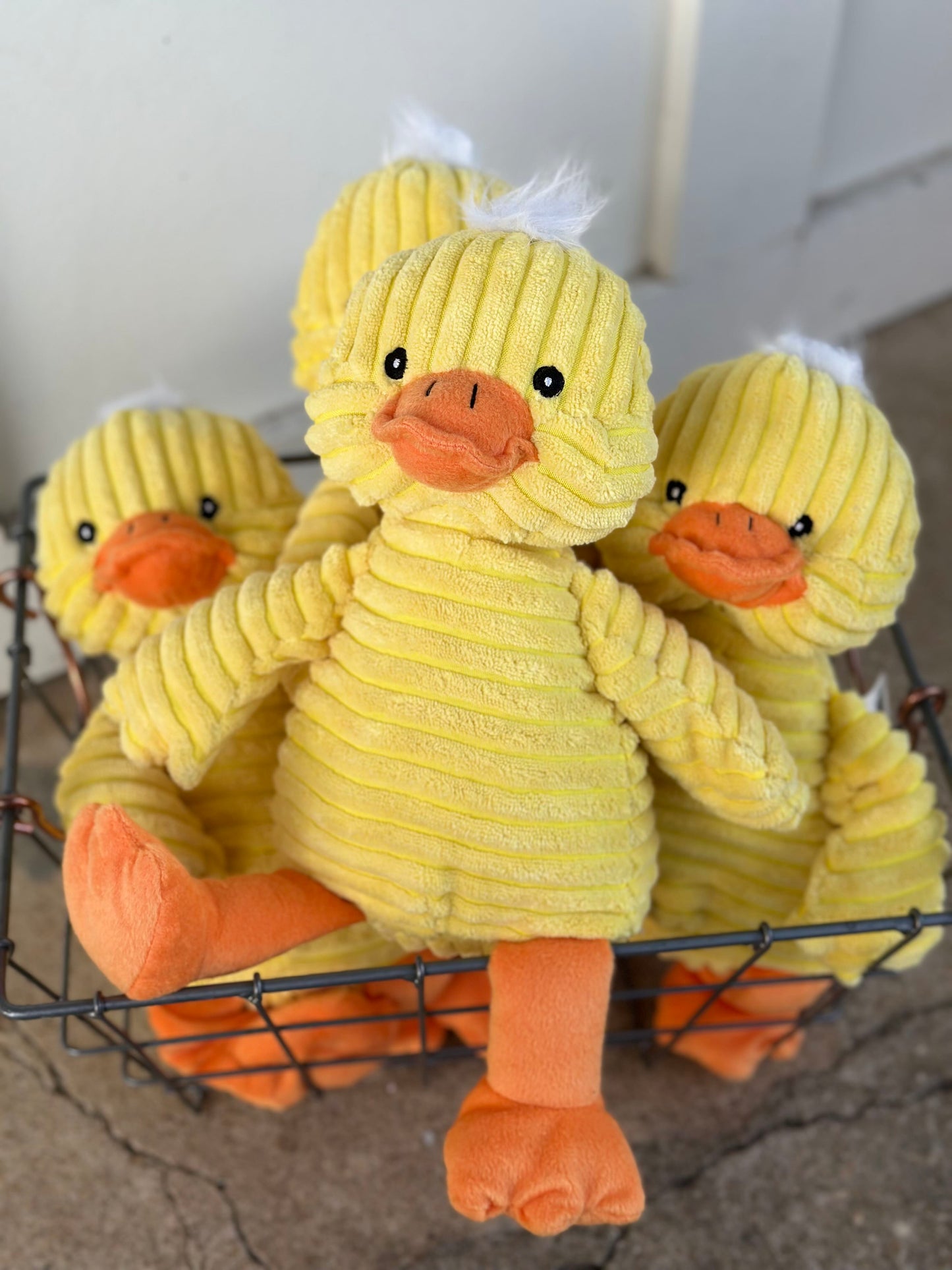 yellow duck - kordy
