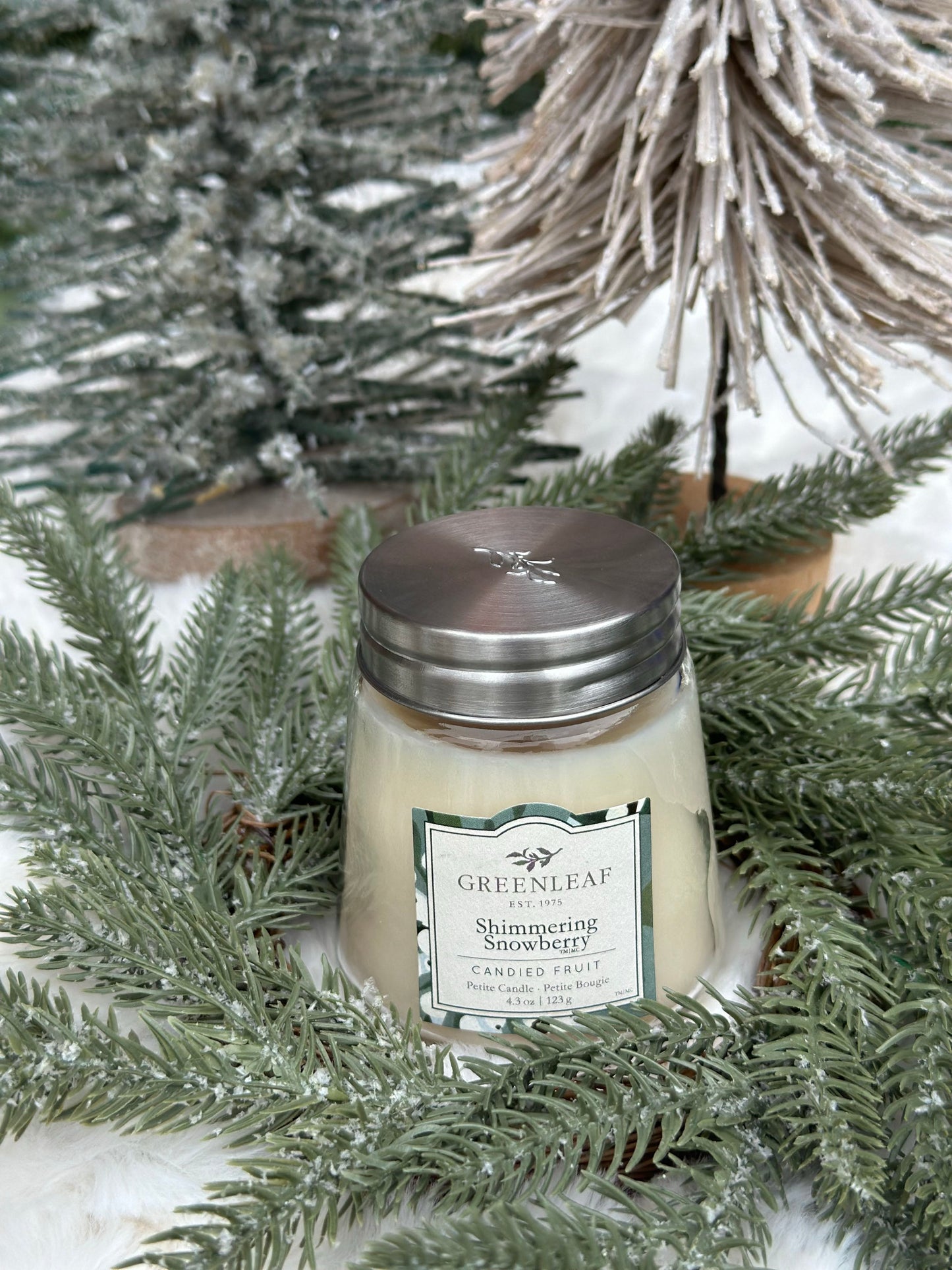 Shimmering Snowberry Petite