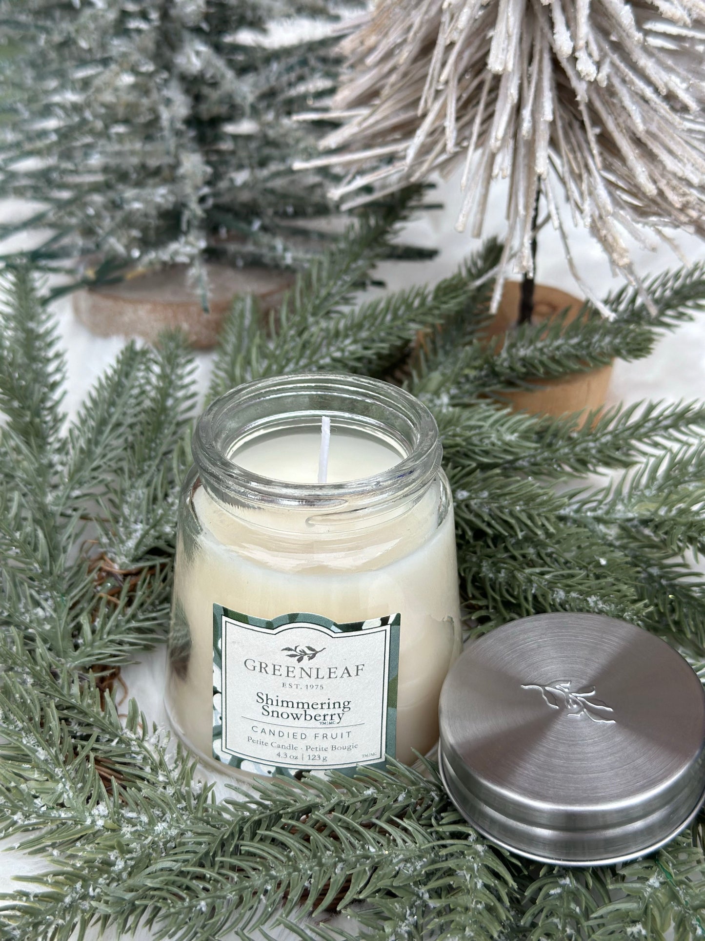 Shimmering Snowberry Petite