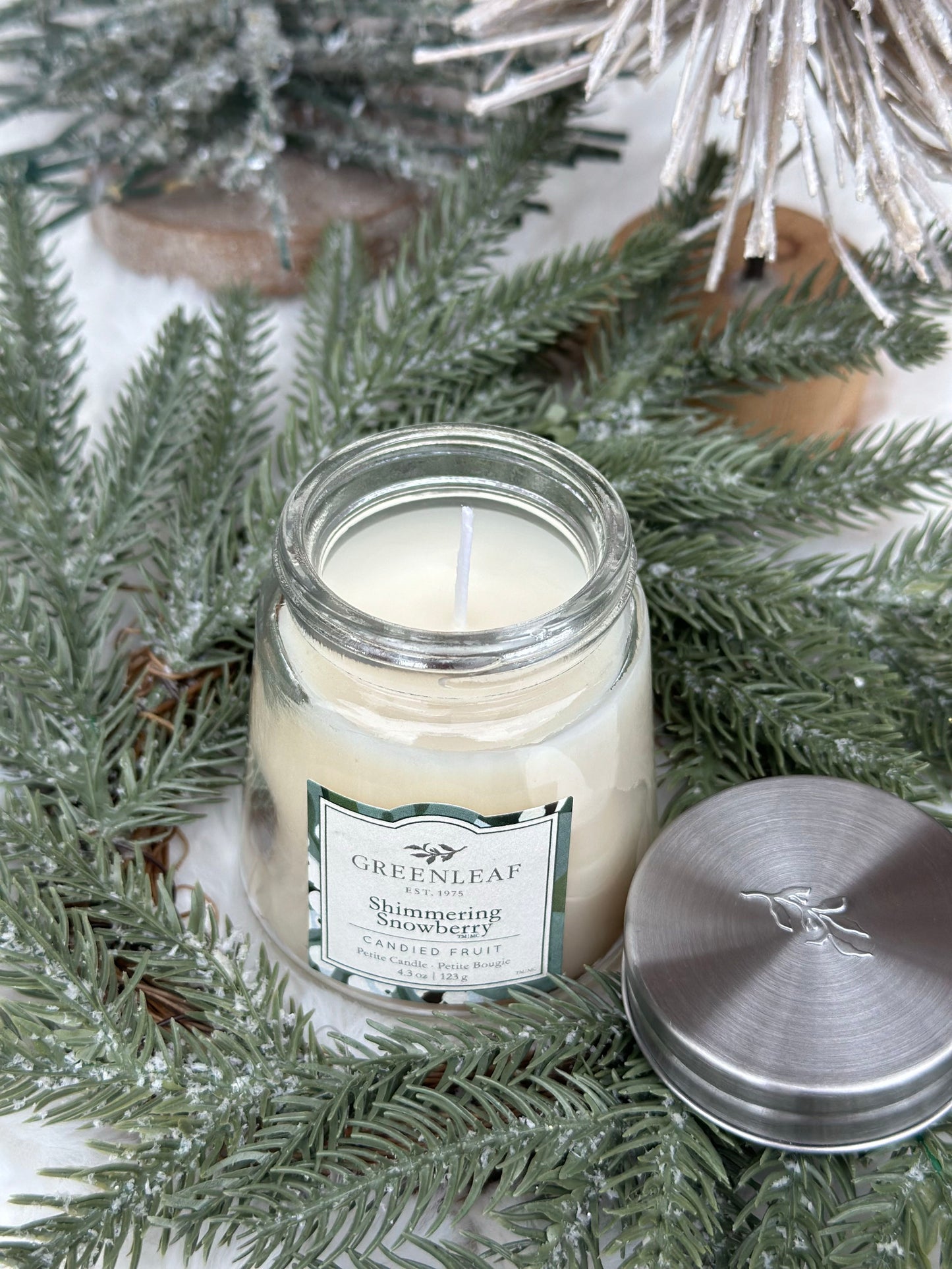 Shimmering Snowberry Petite
