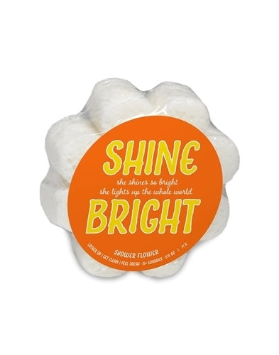 soap sponge - shine bright