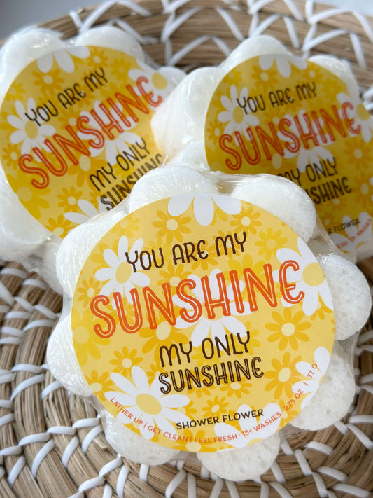 soap sponge - you are my sunshine