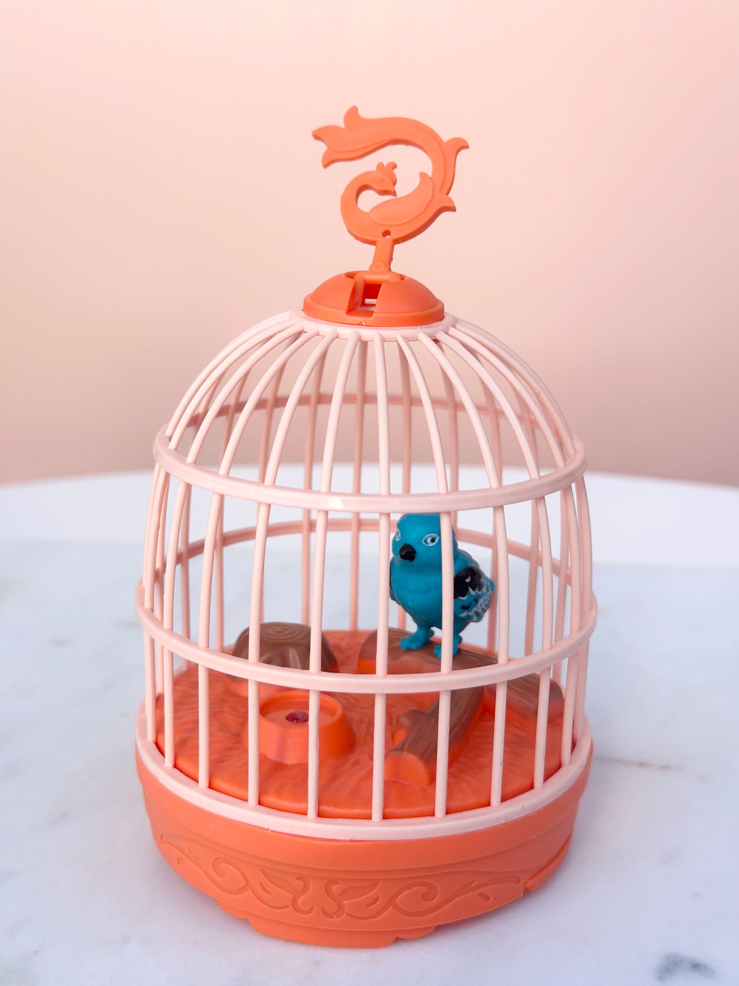 singing, chirping parrot