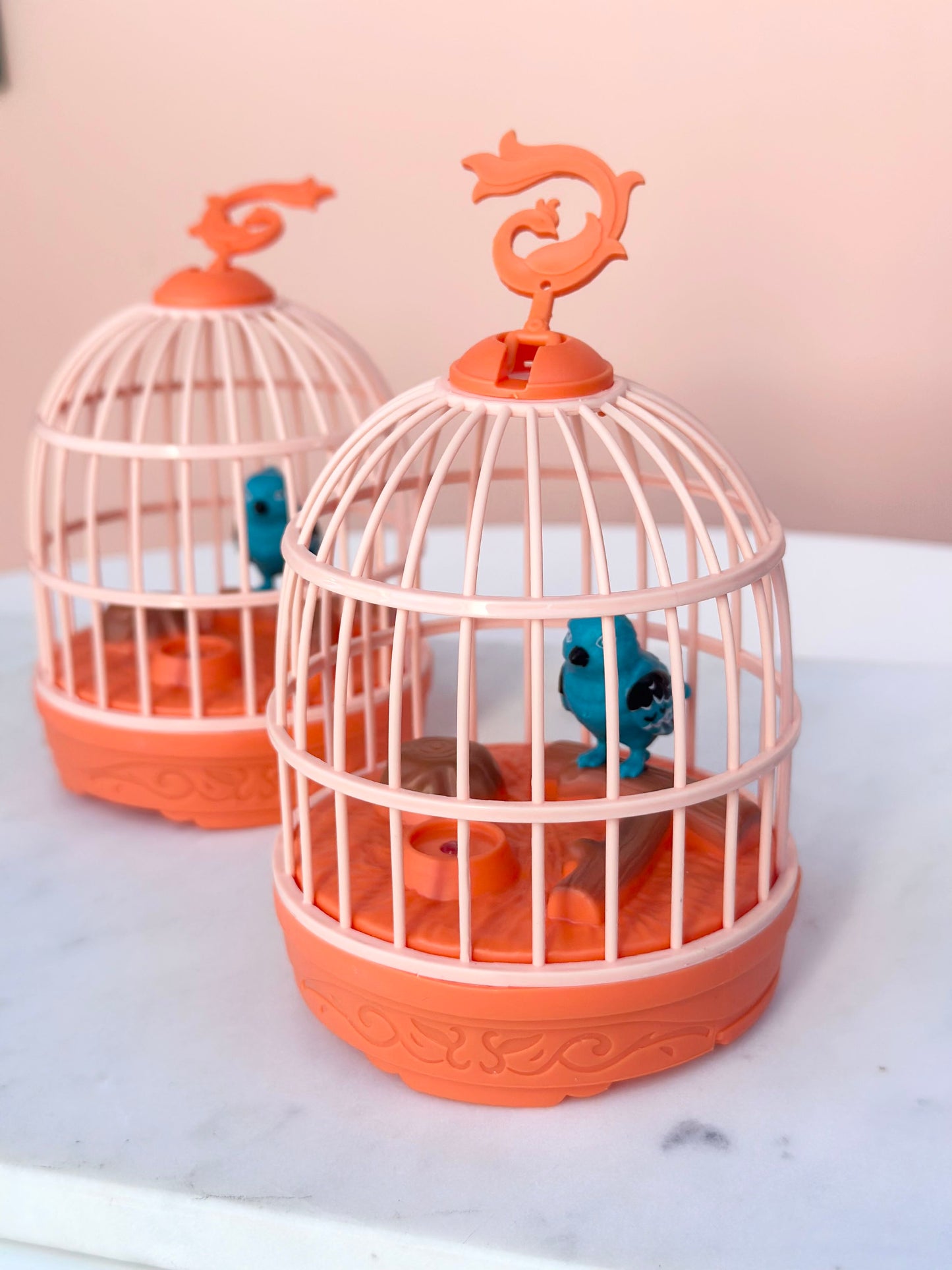 singing, chirping parrot