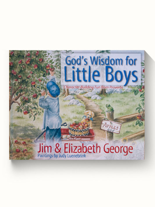 God's wisdom for little boys