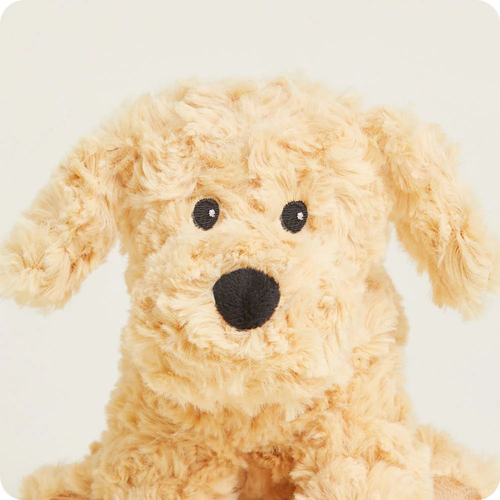golden dog junior warmies