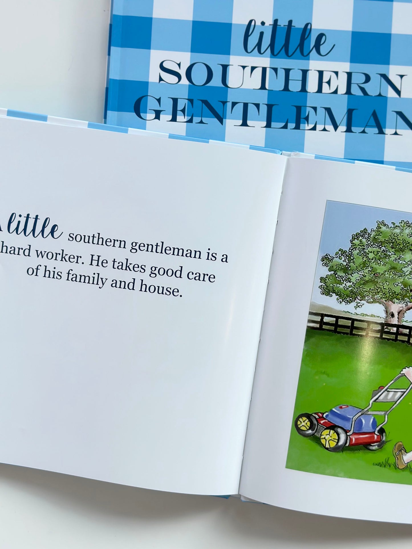little southern gentleman book