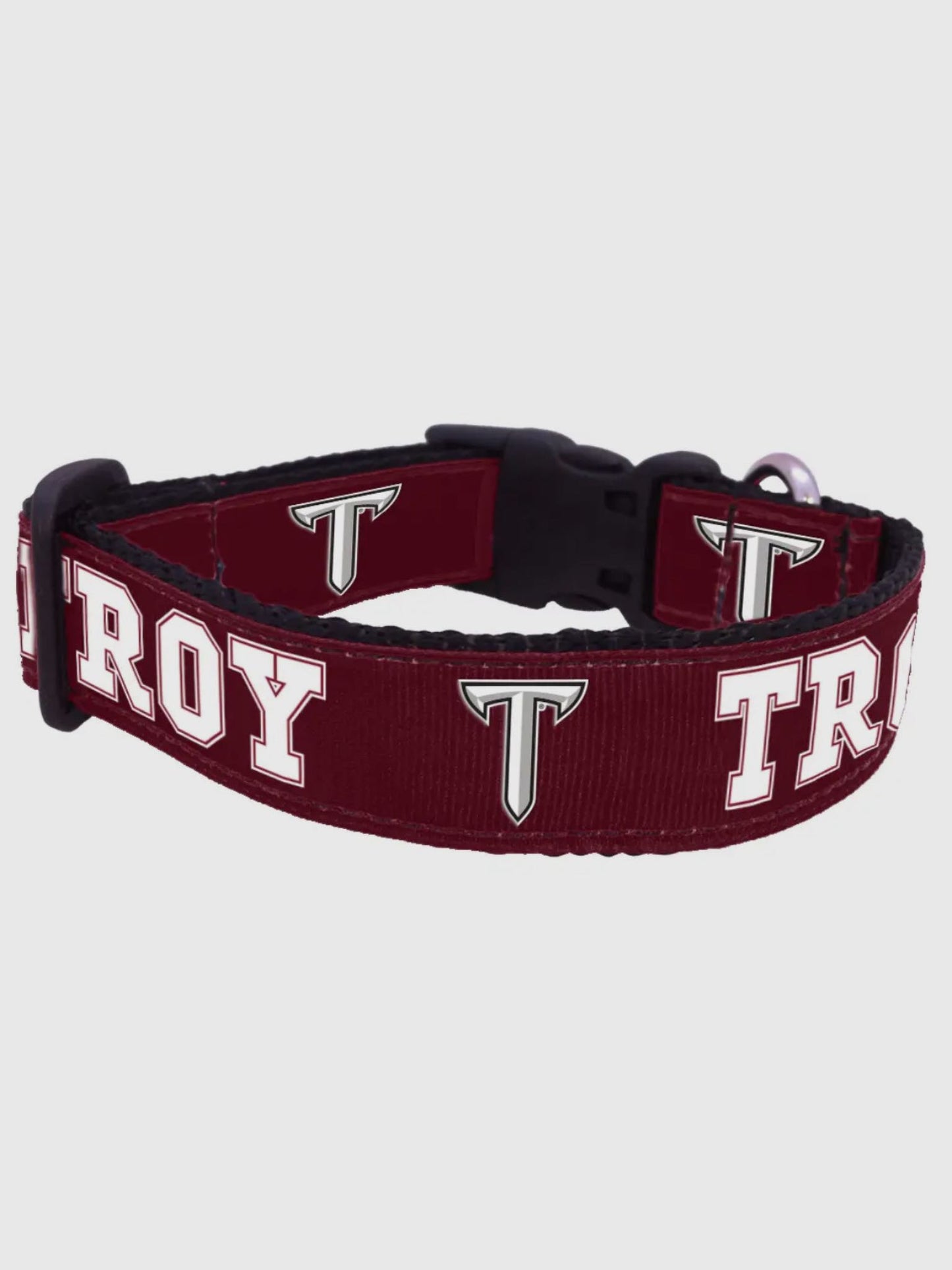 TROY dog collar