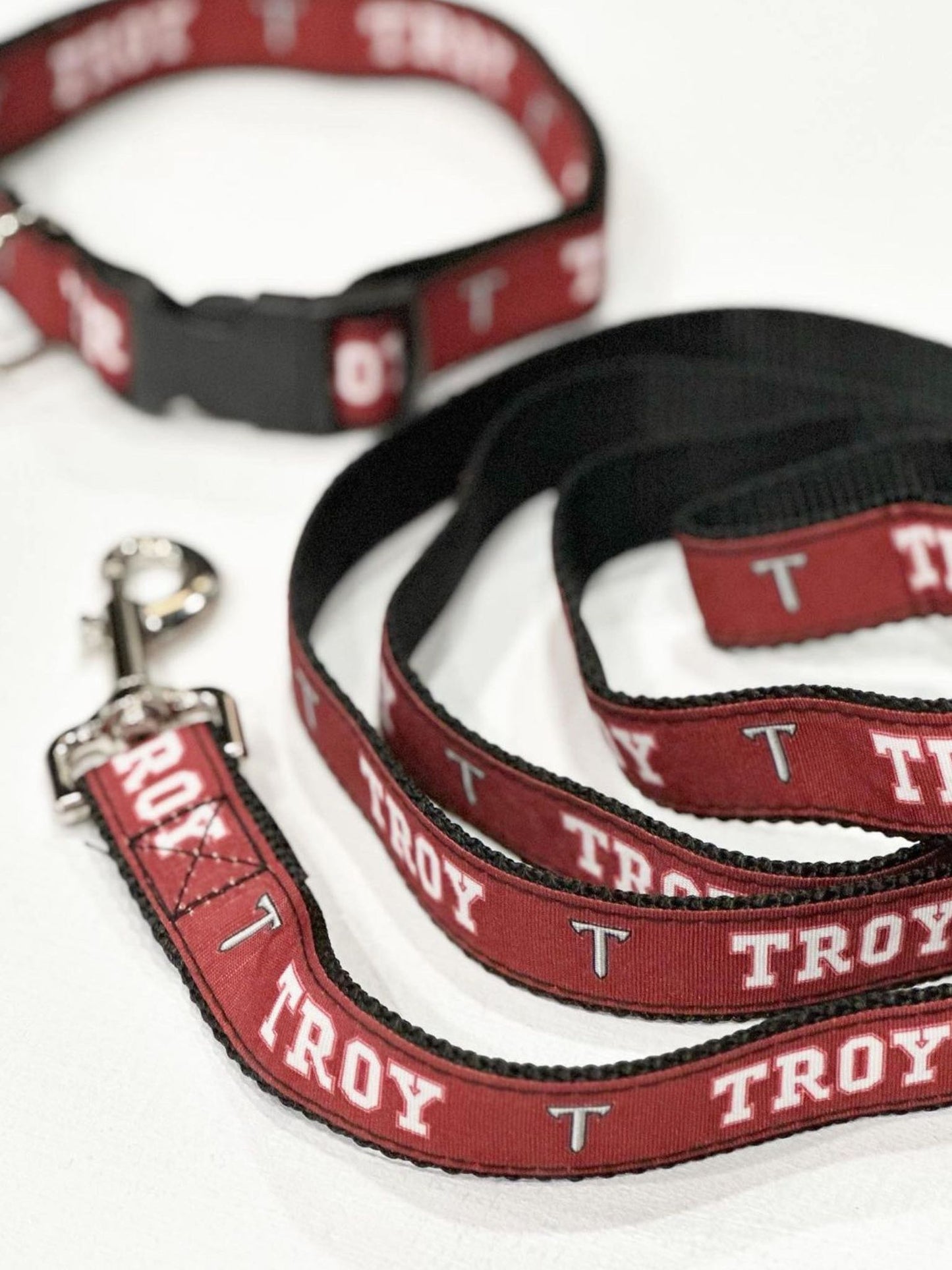 TROY dog collar