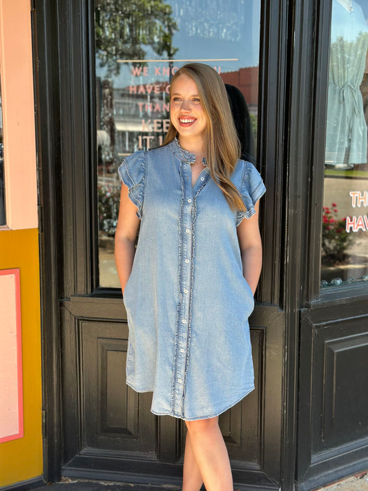 the jackson hole denim dress
