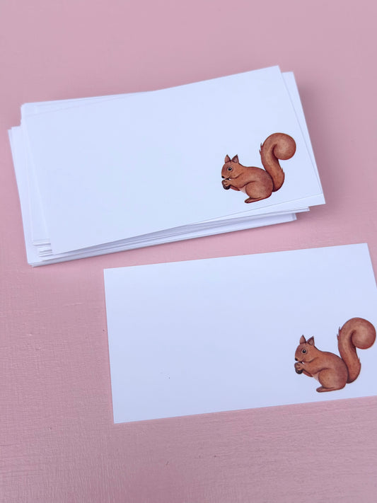 nugget notes - squirrel