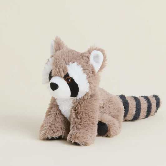 raccoon junior warmies