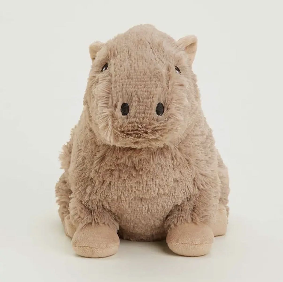 capybara warmies