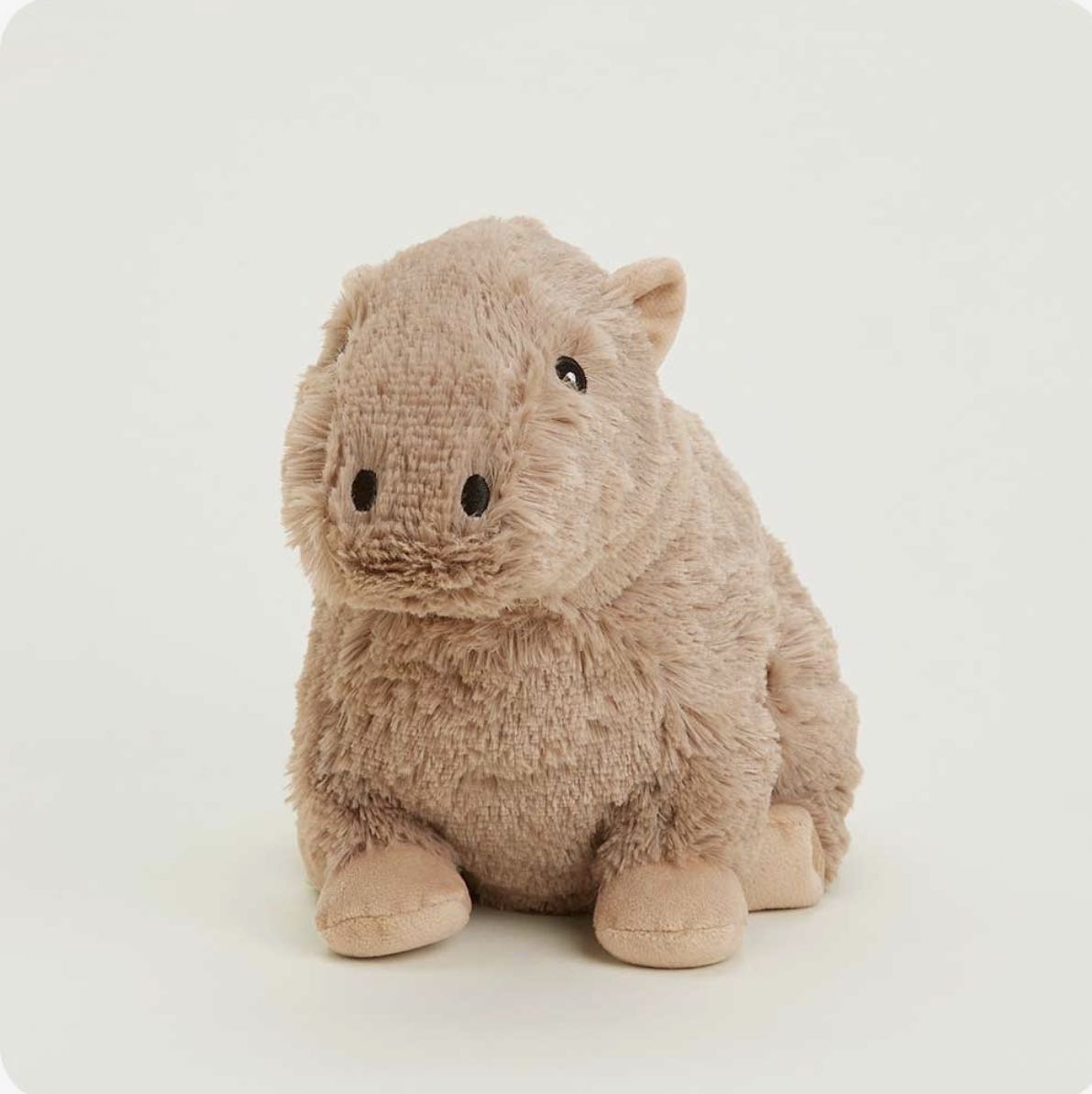 capybara warmies