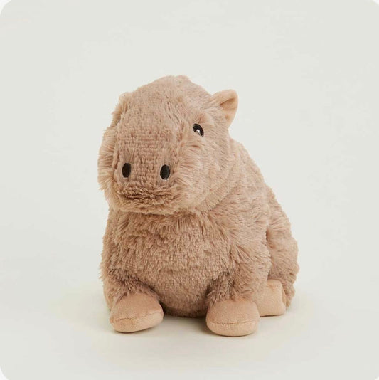 capybara warmies