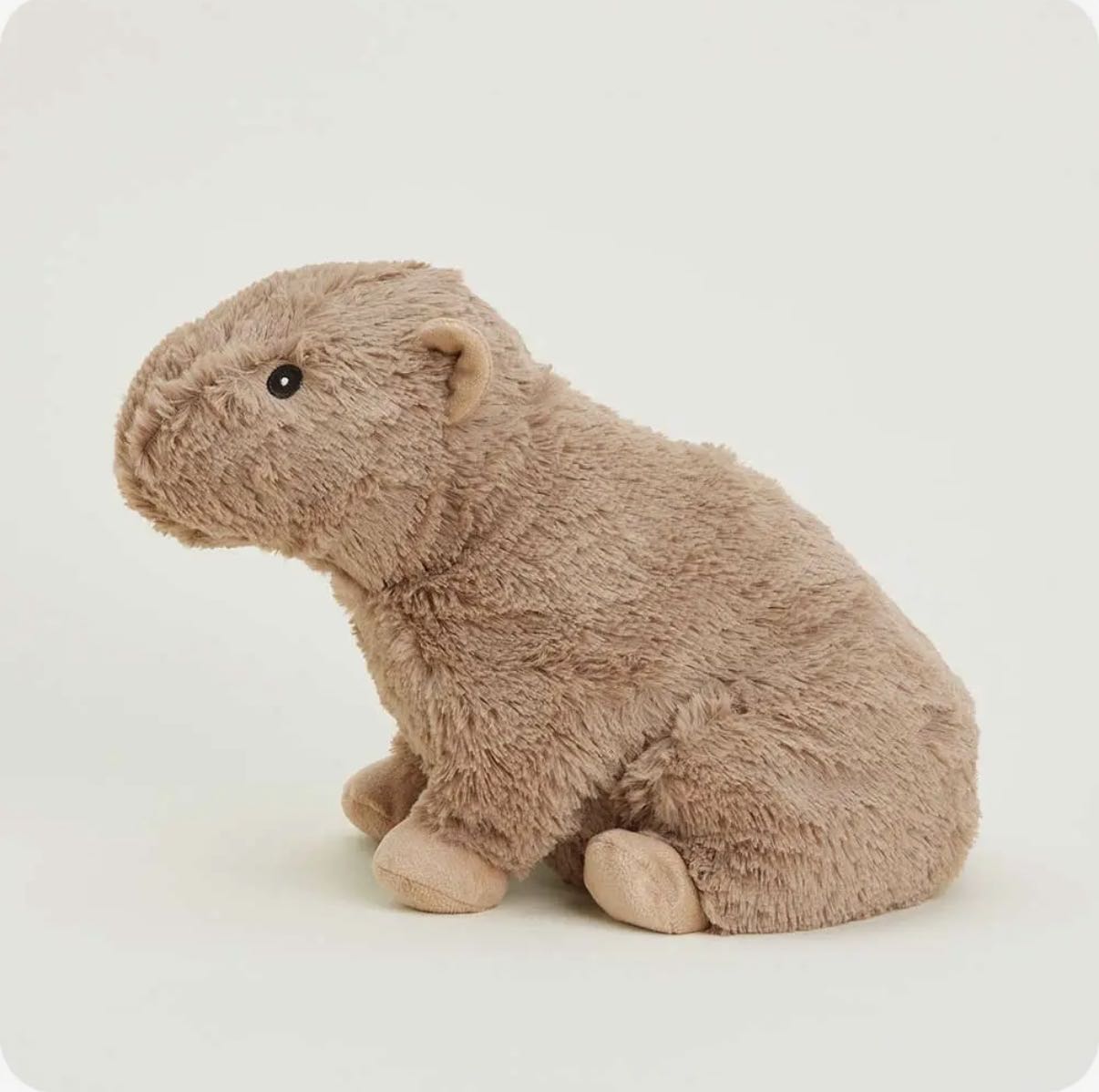 capybara warmies
