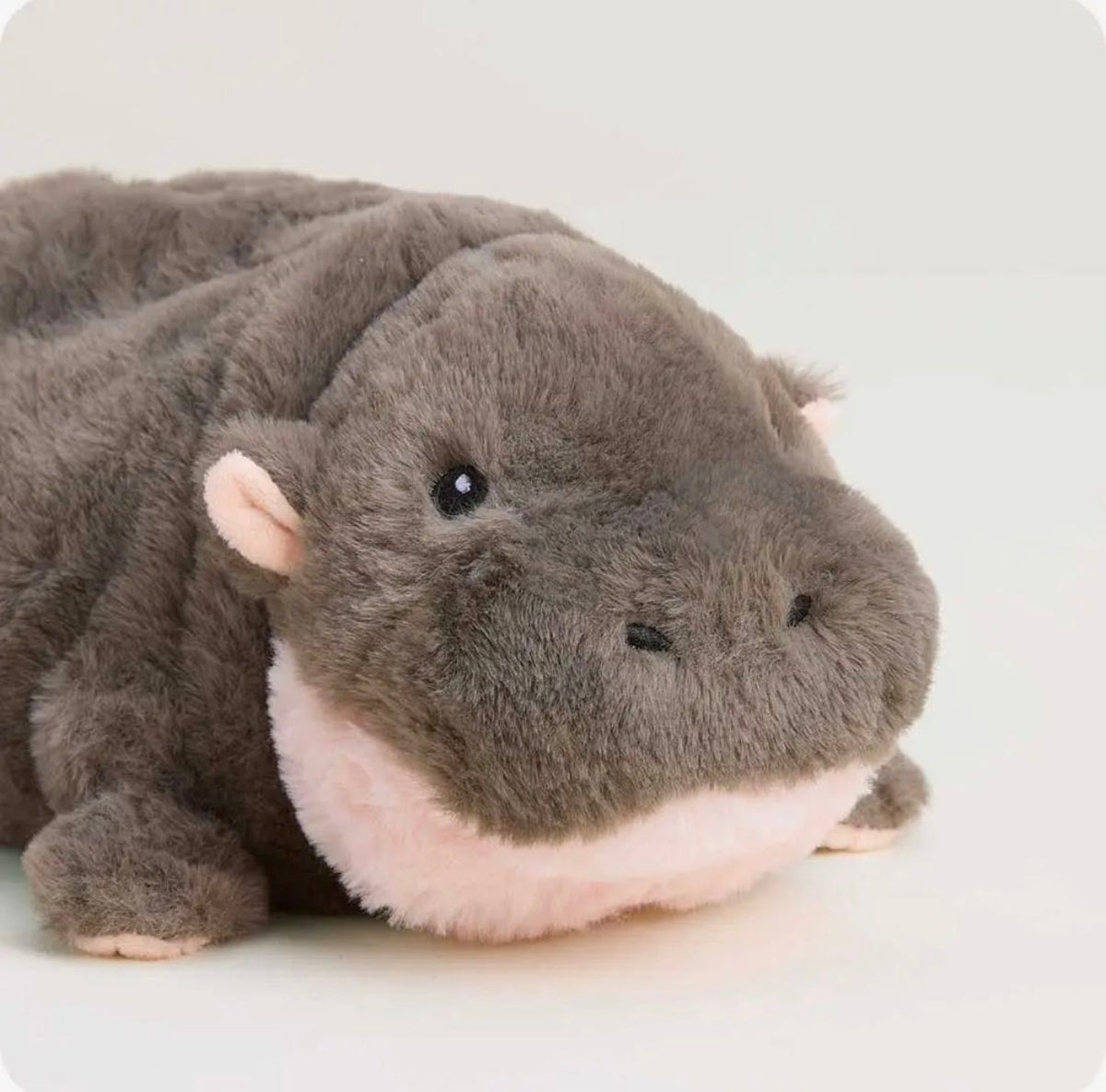 pygmy hippo warmies